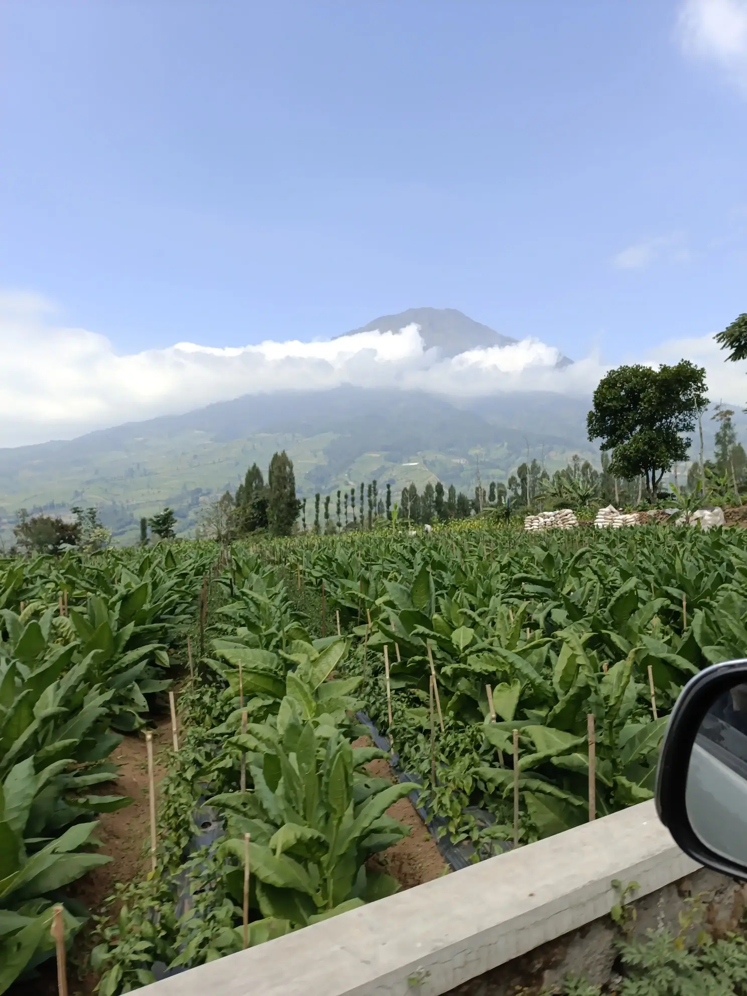 Mount Sumbing