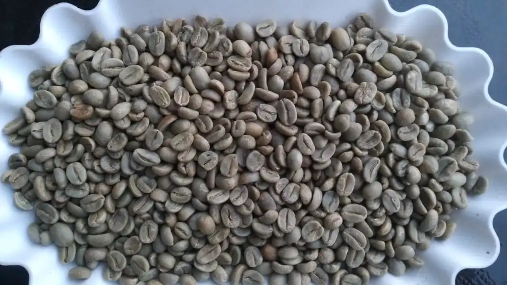 Arabica - Arabica Natural Java Temanggung