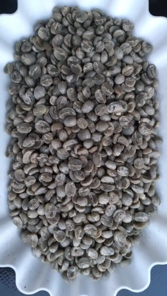 Arabica - Arabica Grade 1 Full Wash Java Temanggung 